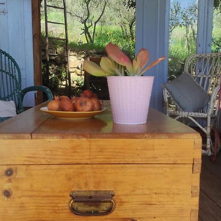 B&B La Casina Di Iris Arezzo Kültér fotó