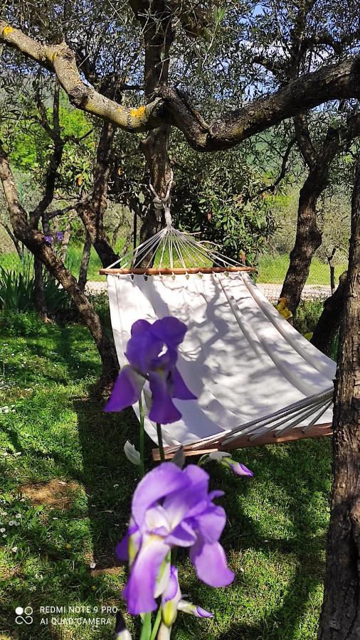 B&B La Casina Di Iris Arezzo Kültér fotó