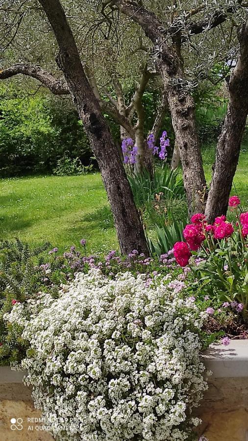 B&B La Casina Di Iris Arezzo Kültér fotó