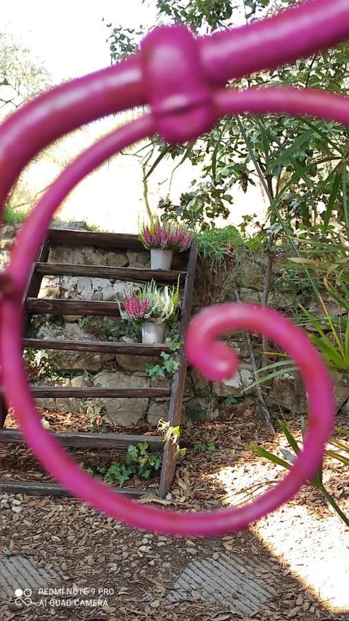 B&B La Casina Di Iris Arezzo Kültér fotó