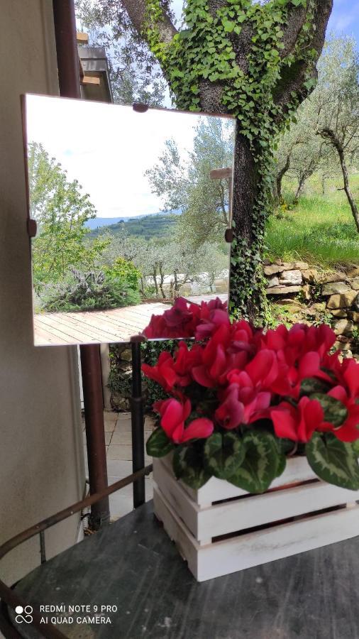 B&B La Casina Di Iris Arezzo Kültér fotó