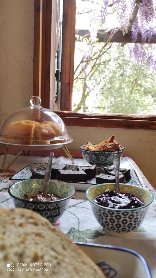 B&B La Casina Di Iris Arezzo Kültér fotó