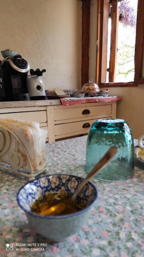 B&B La Casina Di Iris Arezzo Kültér fotó
