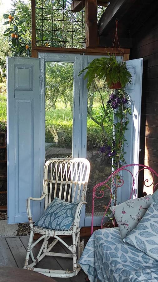 B&B La Casina Di Iris Arezzo Kültér fotó