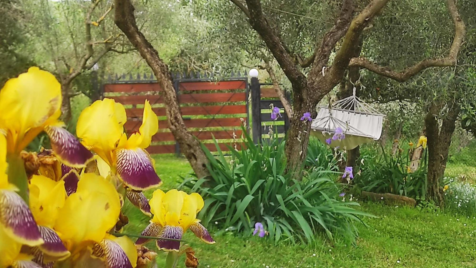 B&B La Casina Di Iris Arezzo Kültér fotó