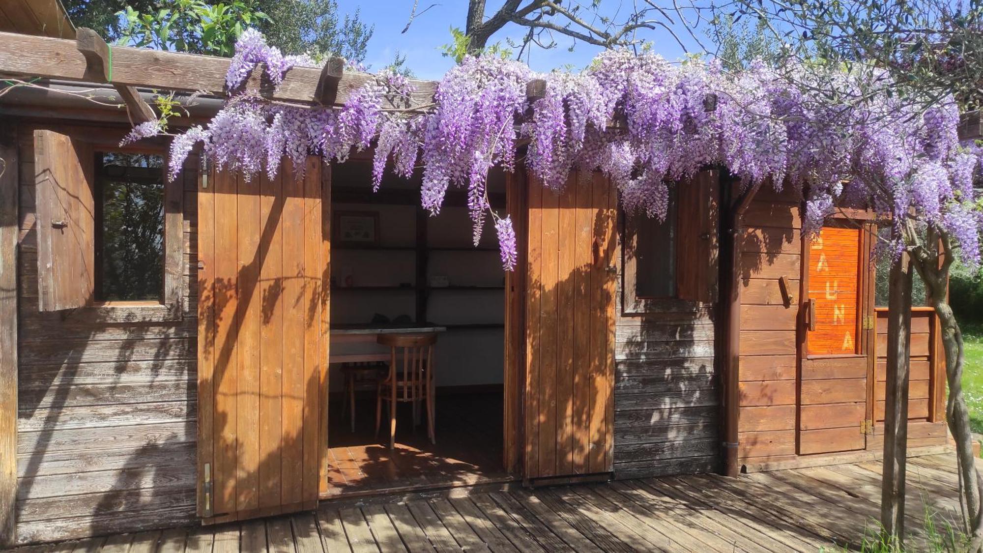 B&B La Casina Di Iris Arezzo Kültér fotó